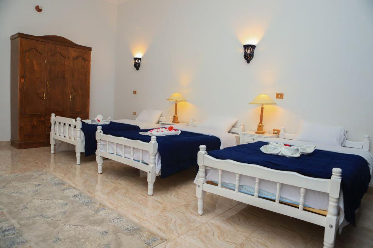 Guest house Oasis *