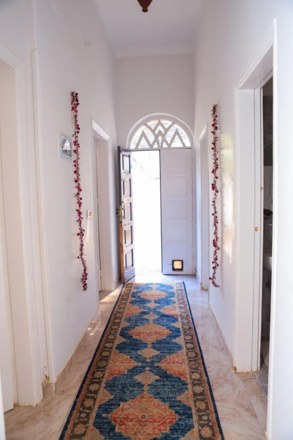 Guest house Oasis *