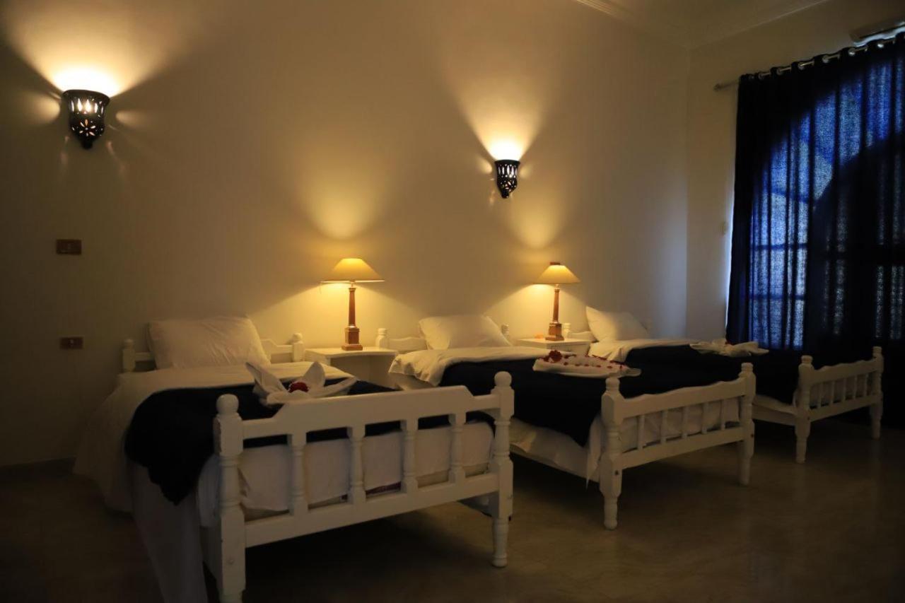 Oasis Guest house Luxor