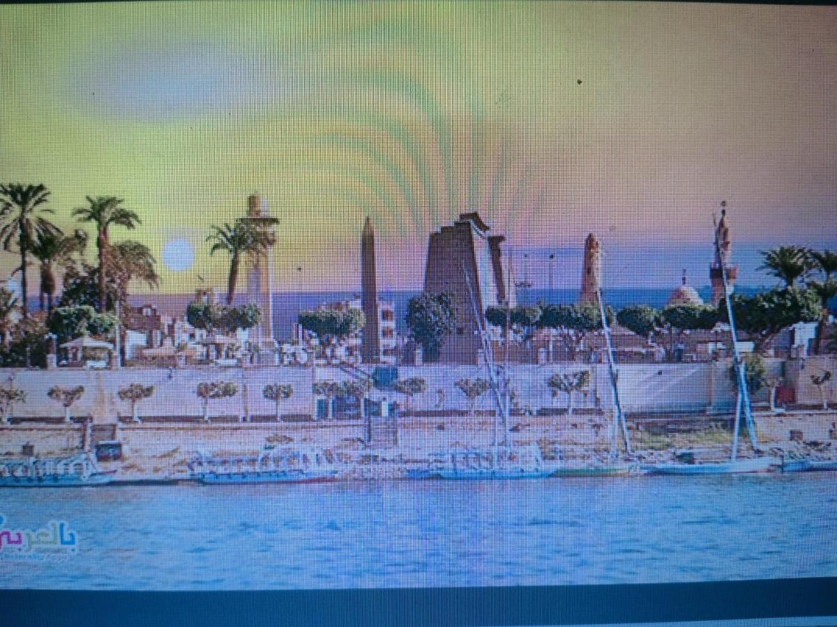 Oasis Guest house Luxor